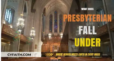 Understanding Presbyterianism: Its Denominational Classification and Theological Roots