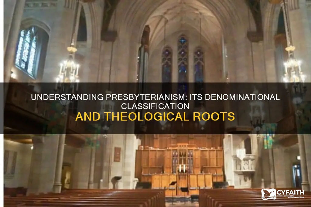 what does presbyterian fall under