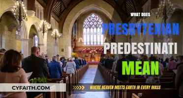 Understanding Presbyterian Predestination: Exploring Divine Election and Sovereignty