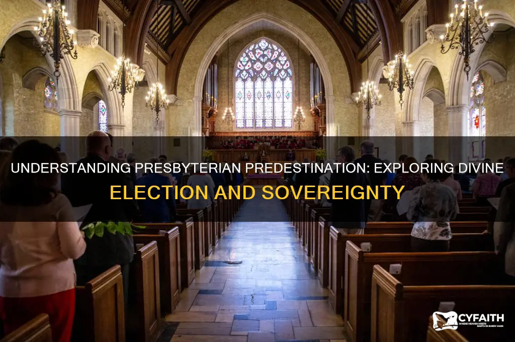 what does presbyterian predestination mean