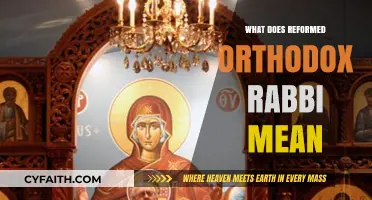 Understanding the Role of a Reformed Orthodox Rabbi in Judaism