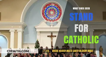 Understanding SEEK: Catholic Campus Ministry's Faith and Evangelization Acronym