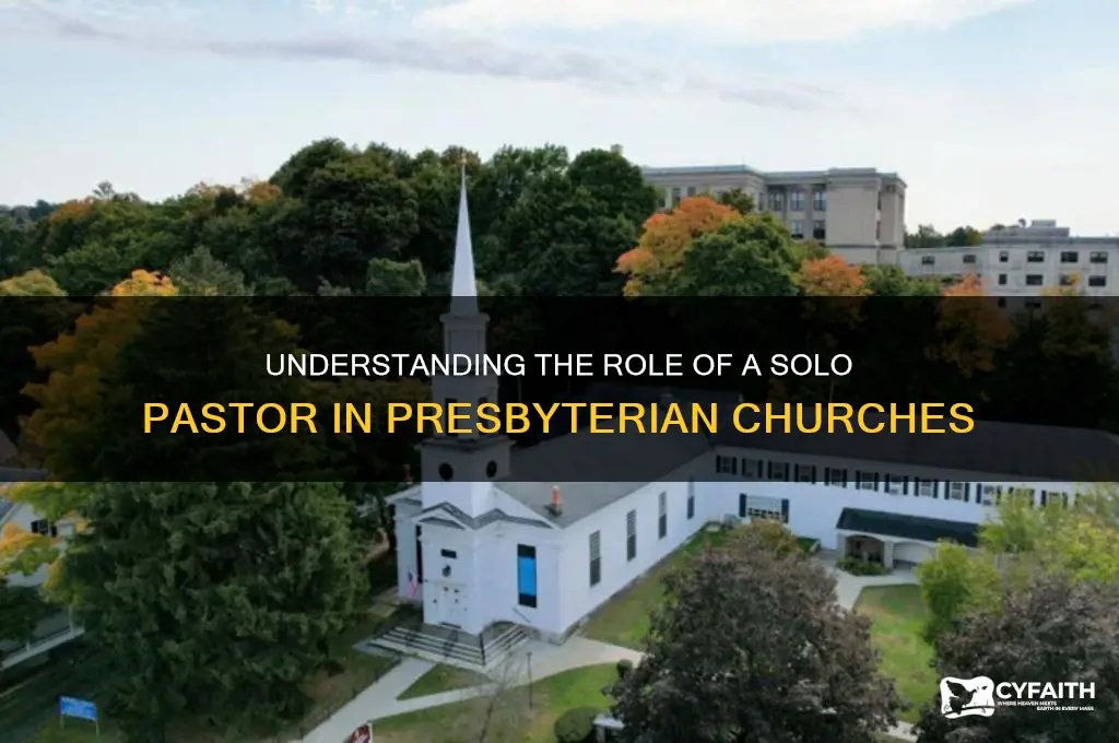 what does solo pastor mean in presbyterian churches