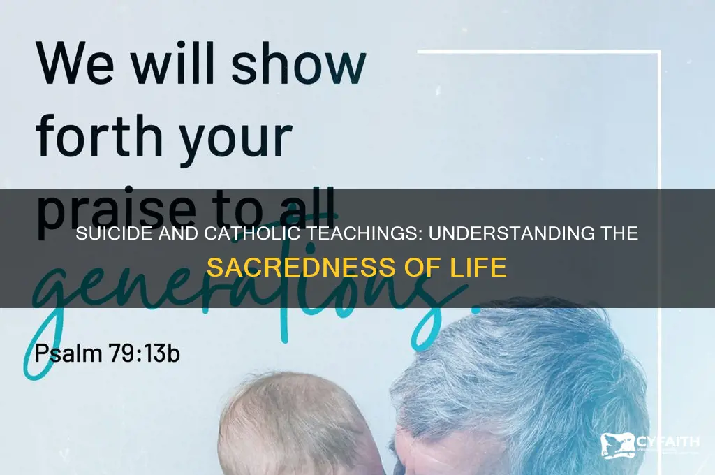 what does suicide violate catholics
