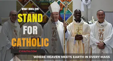 Understanding SVD: The Catholic Society of the Divine Word Explained