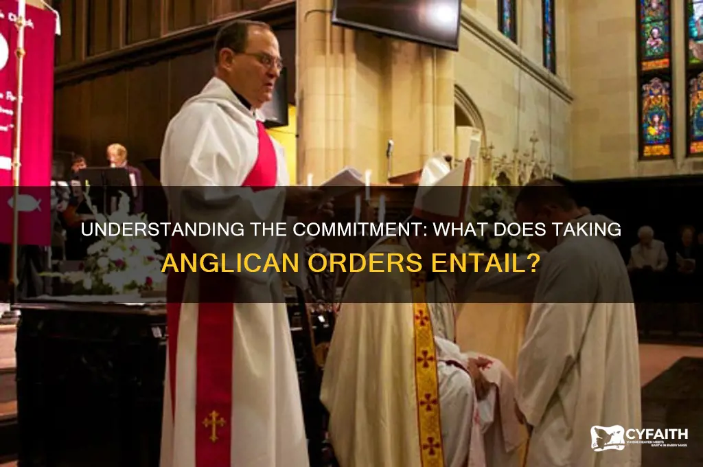 what does taking anglican orders mean