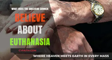 Anglican Church's Stance on Euthanasia: Beliefs and Ethical Perspectives