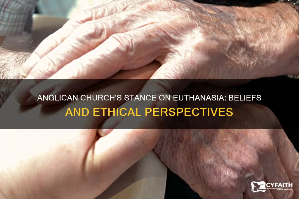 what does the anglican church believe about euthanasia