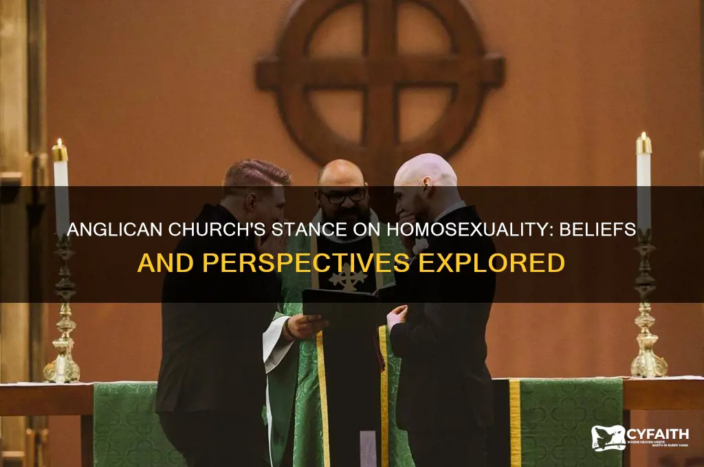 what does the anglican church believe about homosexuality