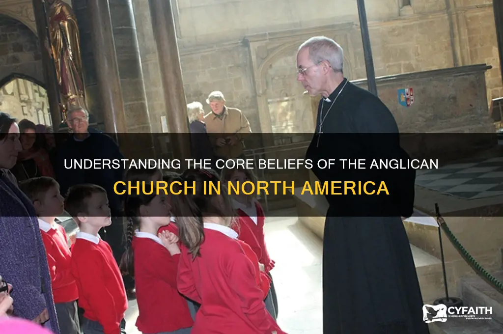 what does the anglican church in north america believe