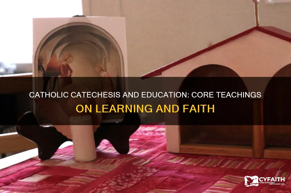 what does the catholic catechesim say about education