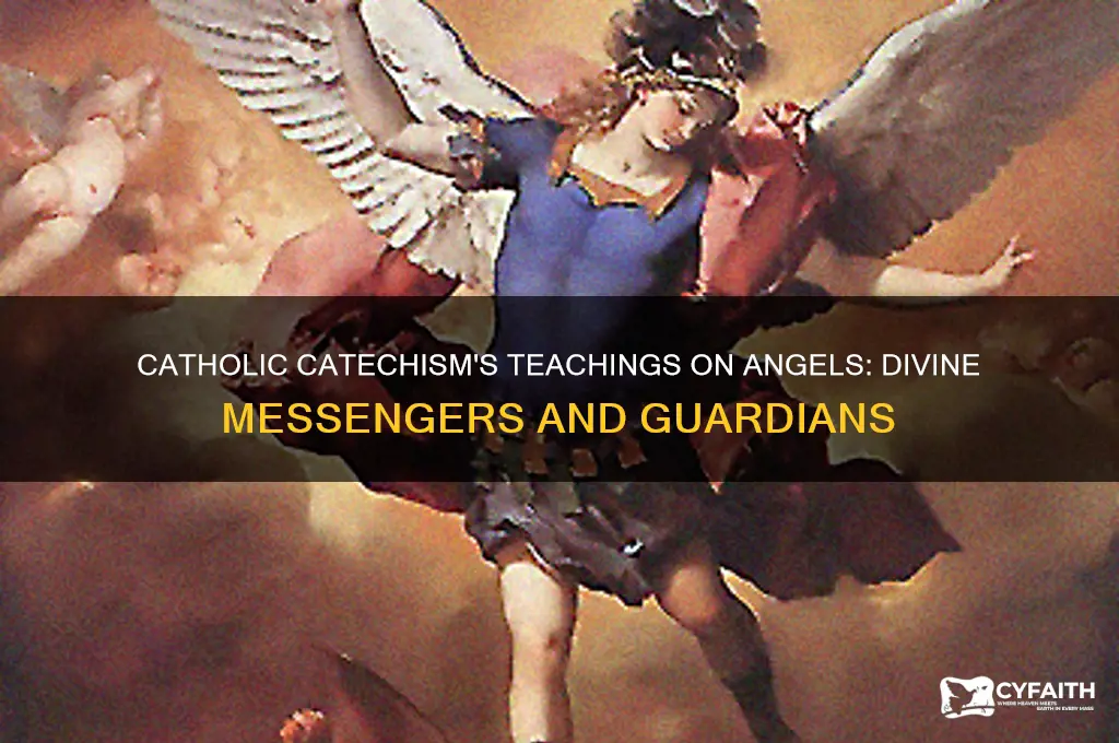 what does the catholic catechism say about angels