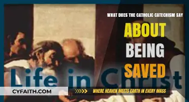 Catholic Catechism's Teachings on Salvation: Understanding the Path to Eternal Life