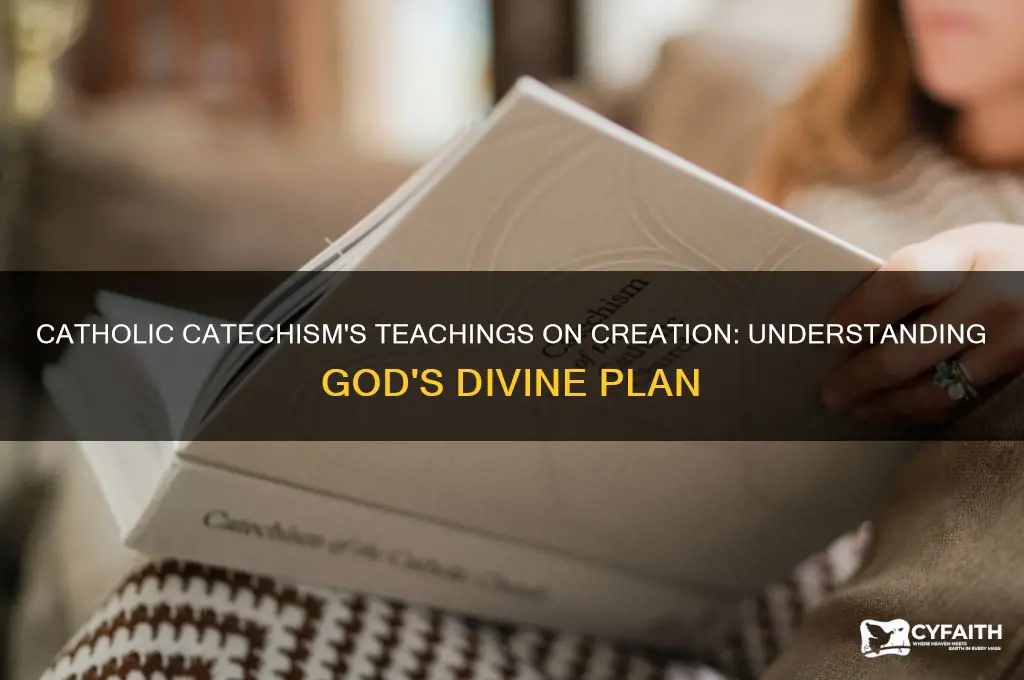 what does the catholic catechism say about creation