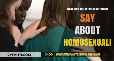 Catholic Catechism's Teaching on Homosexuality: Understanding the Church's Perspective