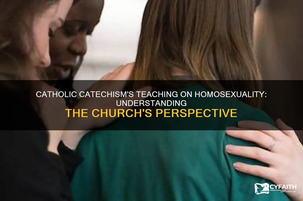 what does the catholic catechism say about homosexuality