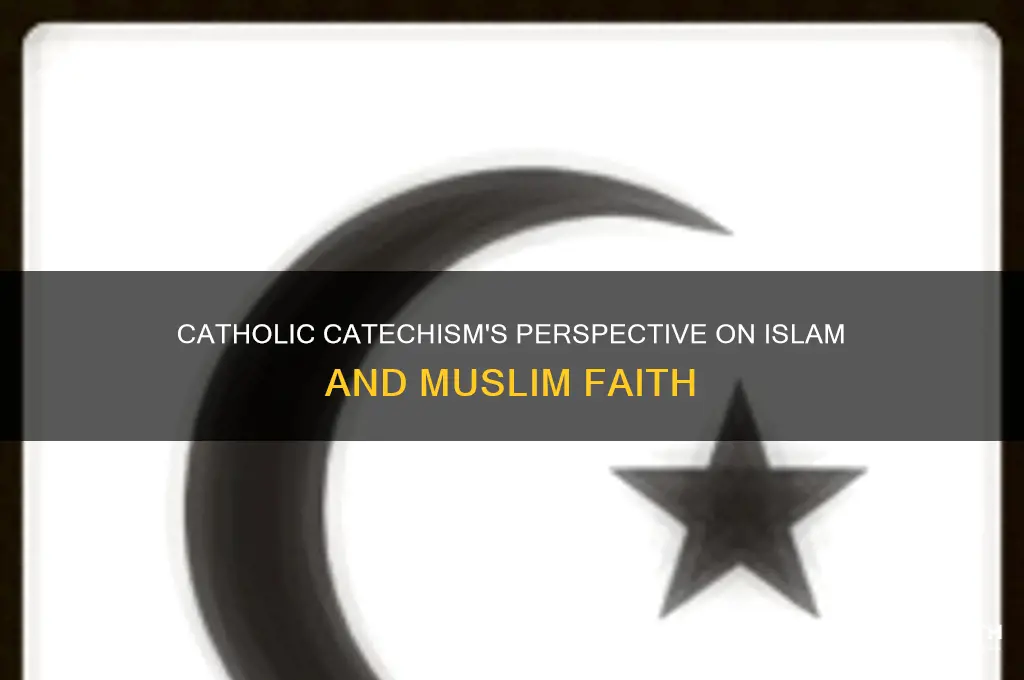 what does the catholic catechism say about muslims