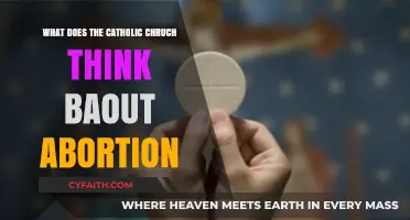 Catholic Church's Stance on Abortion: Beliefs, Teachings, and Morality