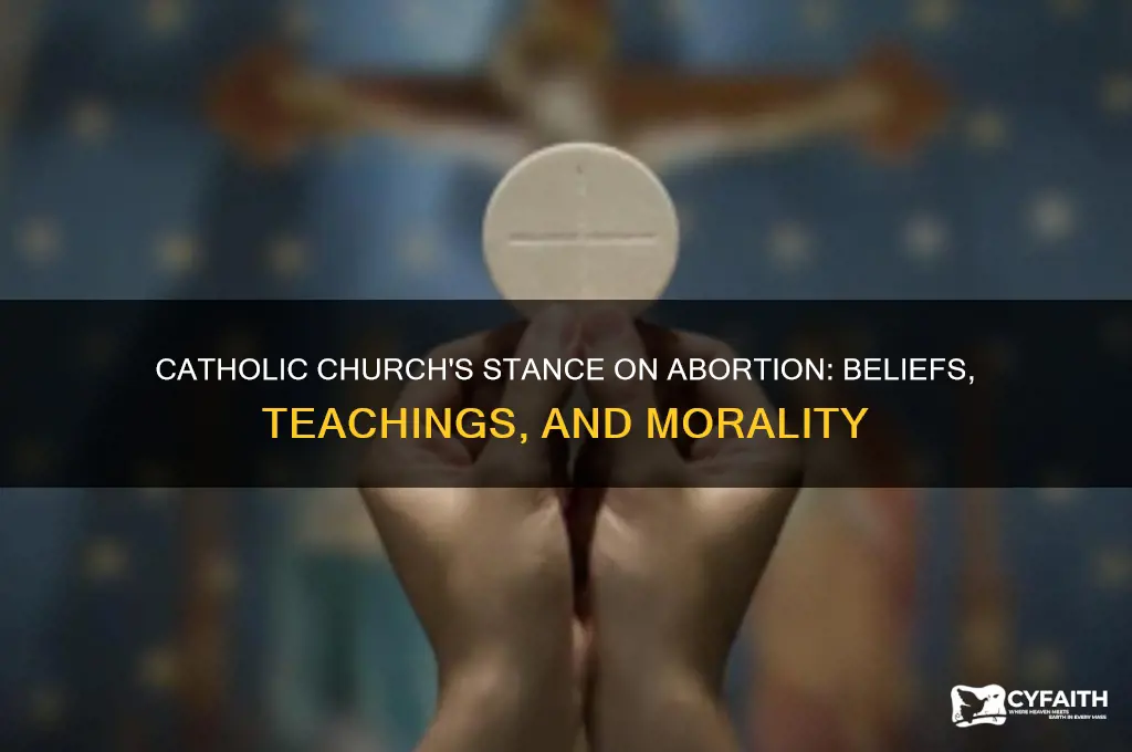 what does the catholic chruch think baout abortion