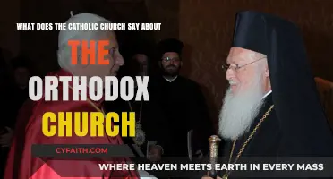 Catholic and Orthodox Churches: Unity, Differences, and Ecumenical Dialogue