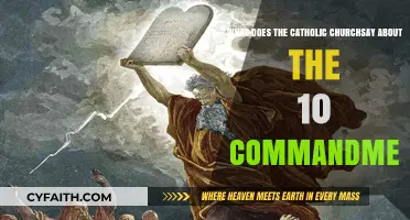 Catholic Teachings on the Ten Commandments: Divine Laws Explained