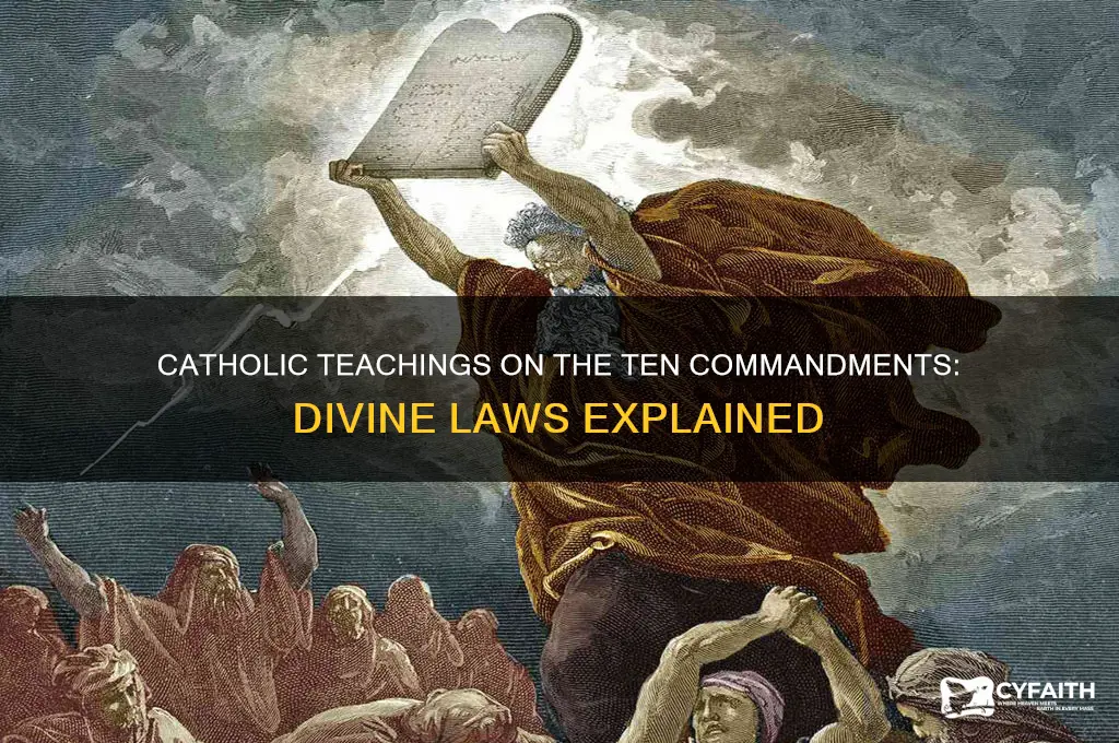 what does the catholic churchsay about the 10 commandments
