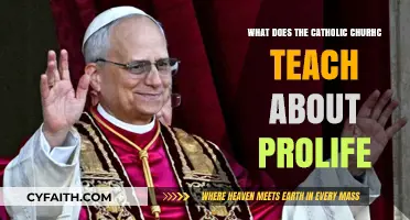 Catholic Church's Pro-Life Teachings: Core Beliefs and Moral Principles Explained