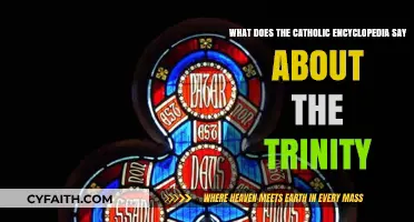 Exploring the Catholic Encyclopedia's Explanation of the Trinity Doctrine