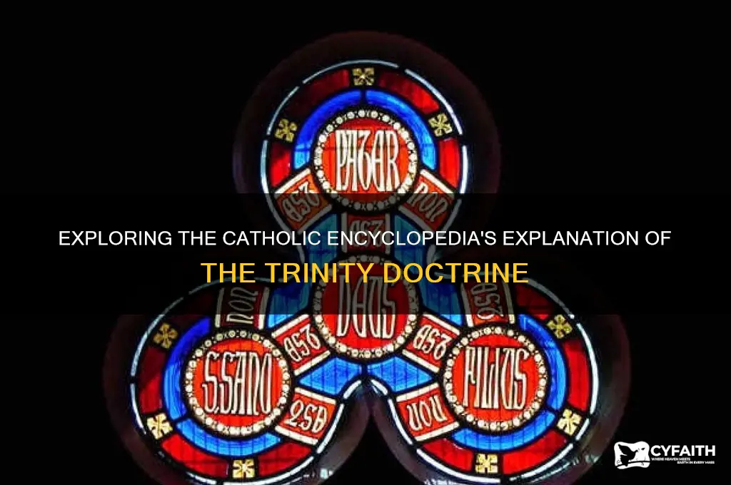 what does the catholic encyclopedia say about the trinity