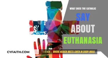 Catholic Teachings on Euthanasia: Life, Dignity, and Moral Stance