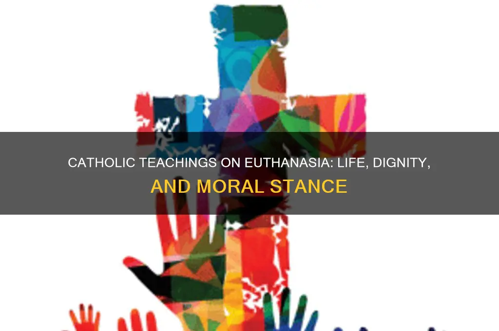 what does the catholic say about euthanasia