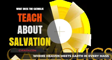 Catholic Teachings on Salvation: Grace, Faith, and Eternal Life Explained