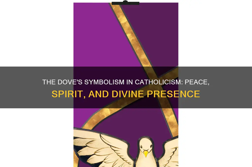 what does the dove represent in the catholic religion