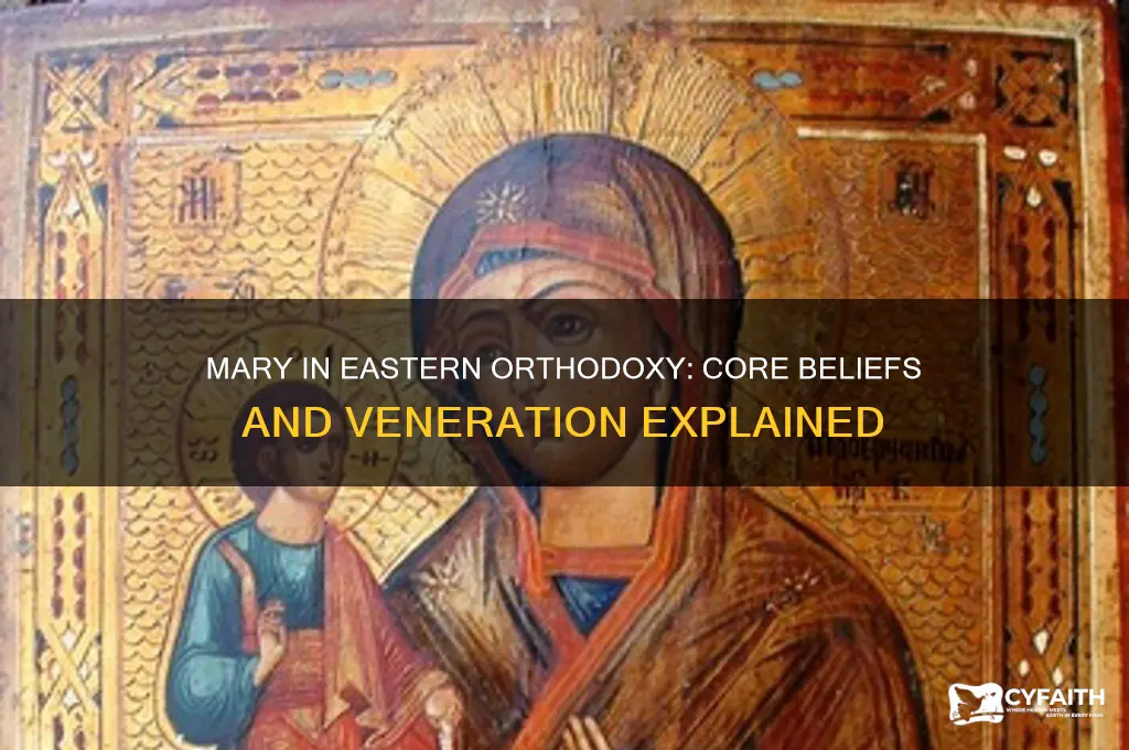 what does the eastern orthodox church believe about mary