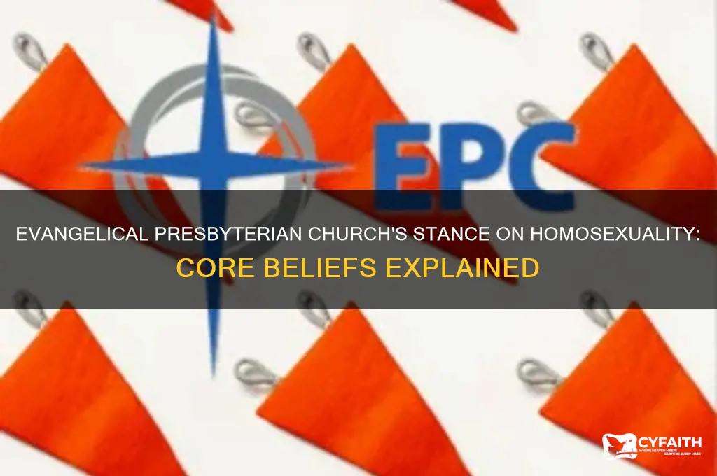 what does the evangelical presbyterian church believe about homosexuality