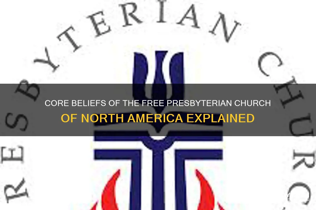what does the free presbyterian church of north america believe