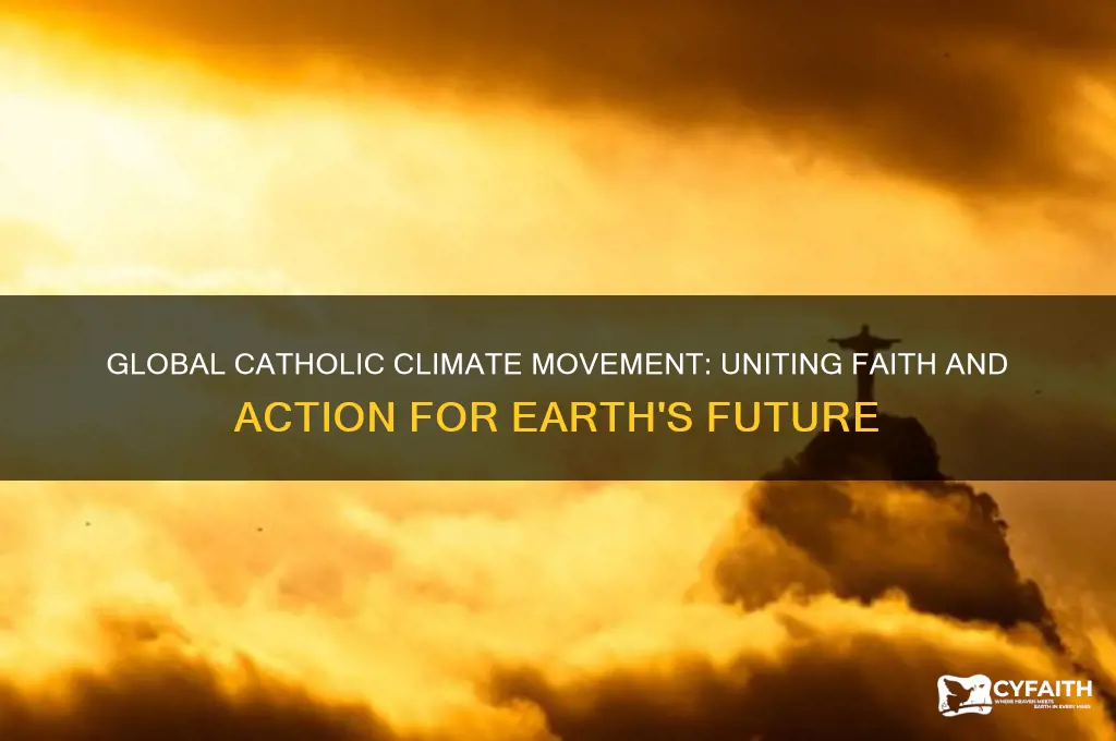 what does the global catholic climate movement do