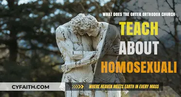Greek Orthodox Church Teachings on Homosexuality: Doctrine and Perspective