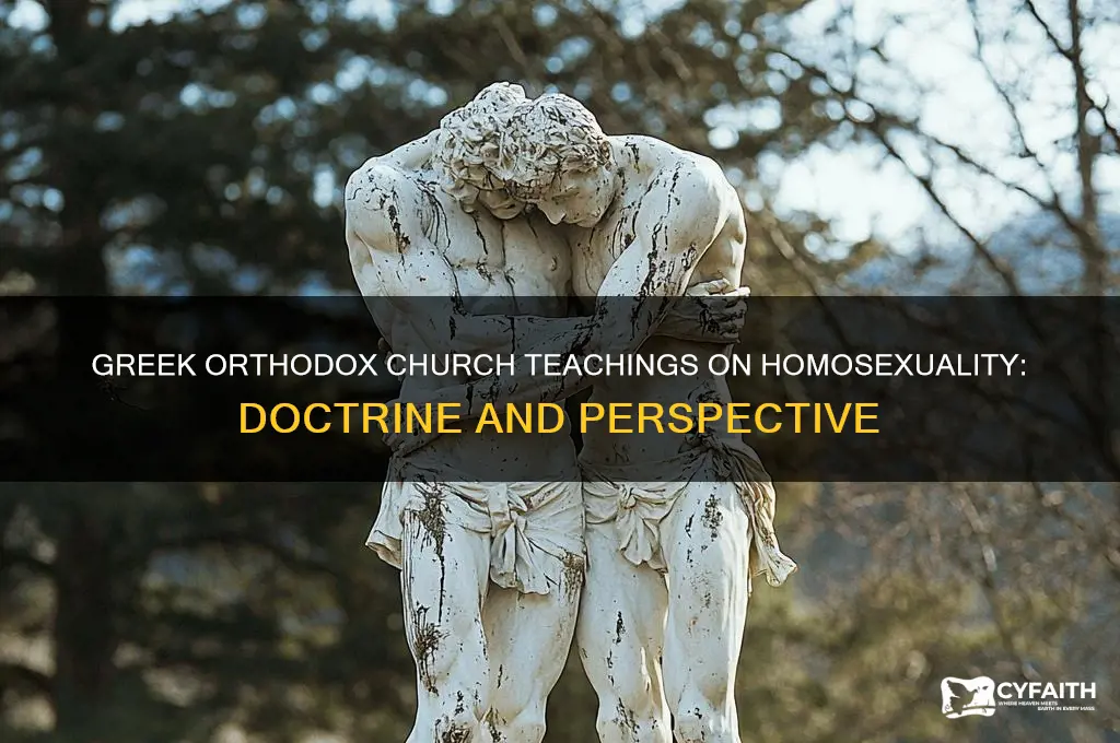 what does the greek orthodox church teach about homosexuality