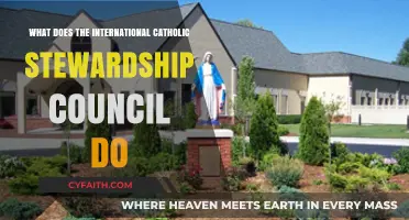Understanding the Role of the International Catholic Stewardship Council