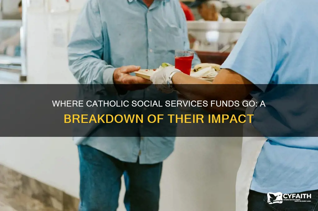 what does the money from catholic social services go to