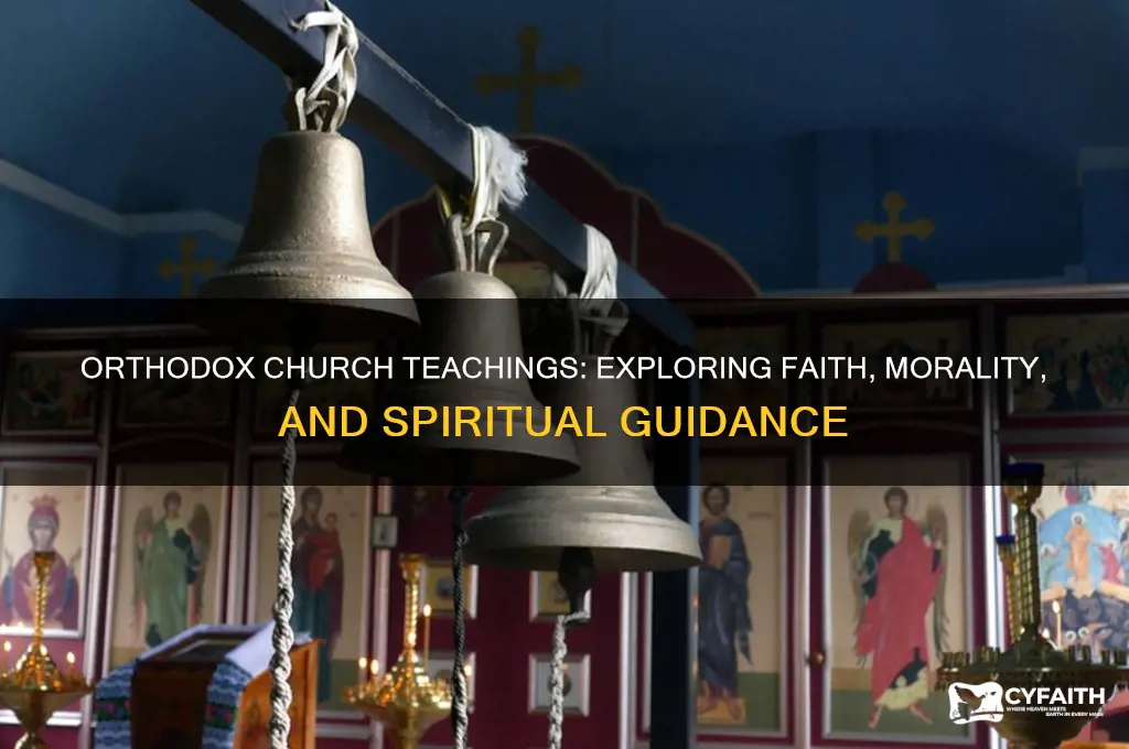 what does the orthodox chhrch say about