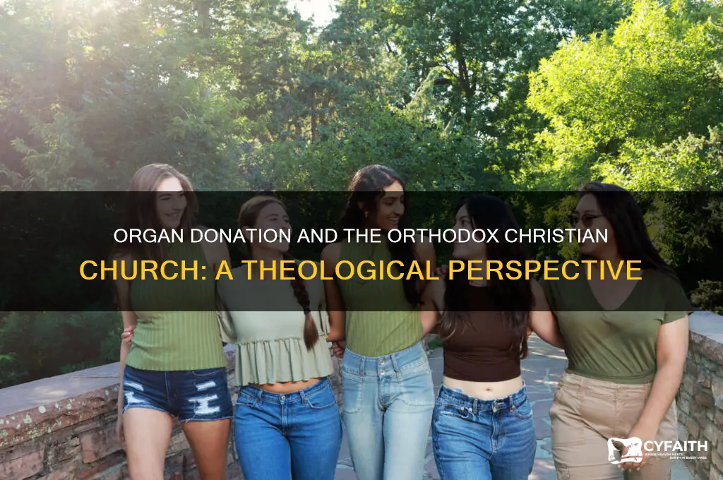 what does the orthodox christian church say about organ donors