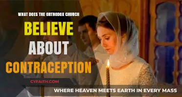 Orthodox Church Teachings on Contraception: Beliefs and Practices Explained