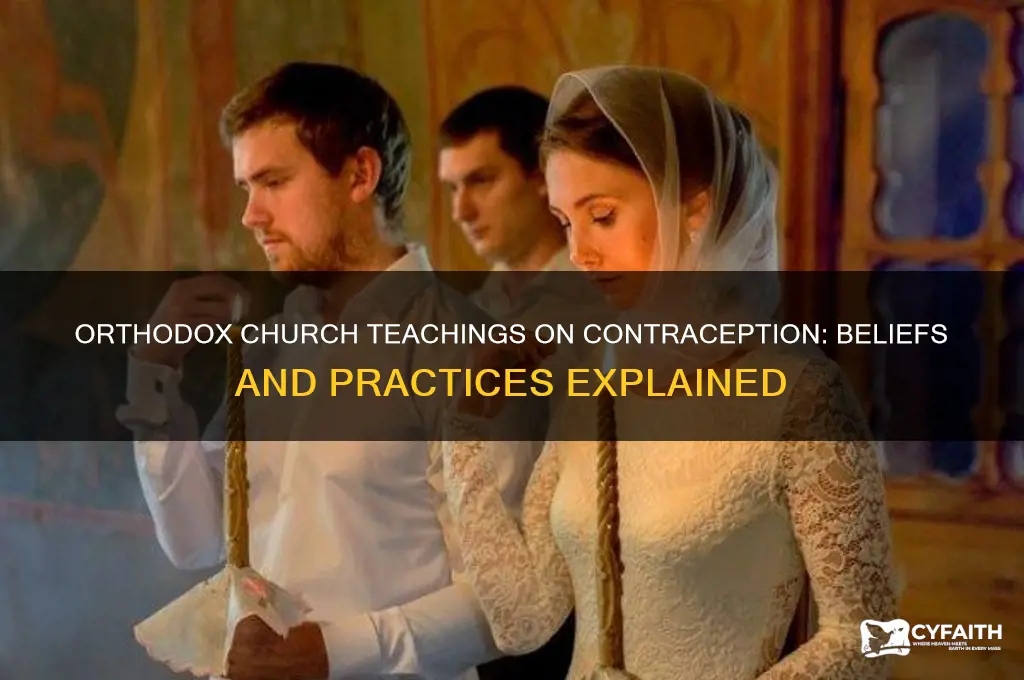 what does the orthodox church believe about contraception