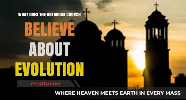 Orthodox Church and Evolution: Reconciling Faith with Scientific Understanding