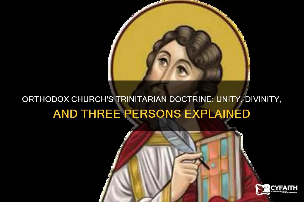 what does the orthodox church believe about the trinity