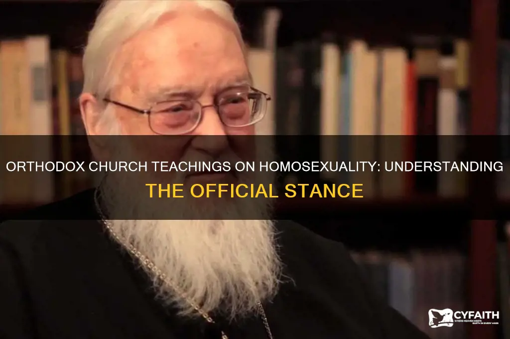 what does the orthodox church say about homosexuality