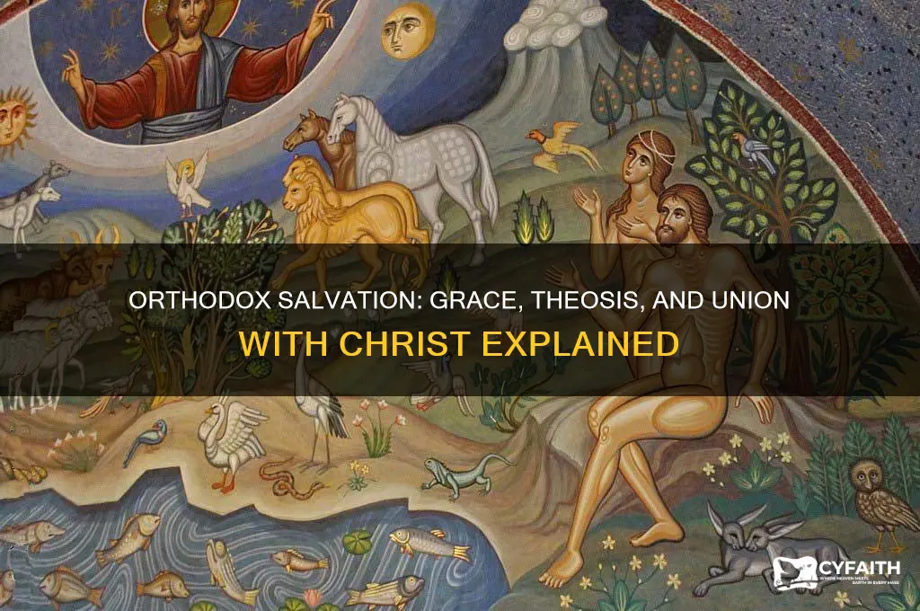 what does the orthodox church teach on salvation