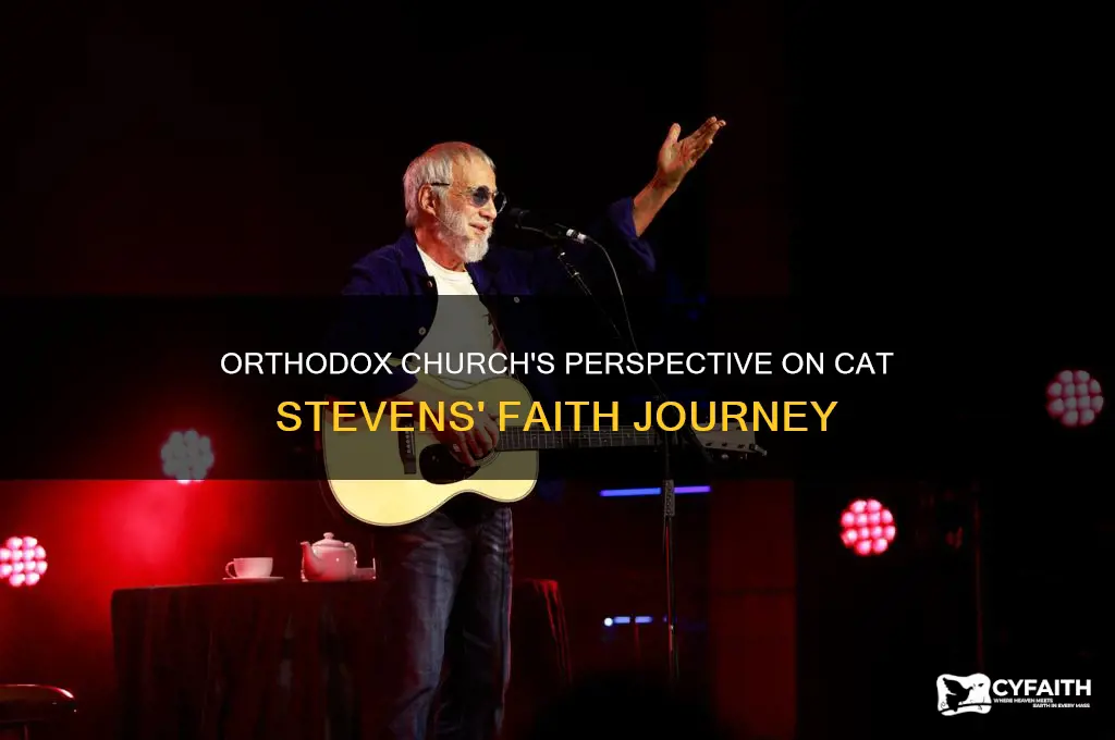 what does the orthodox church think of cat stevens
